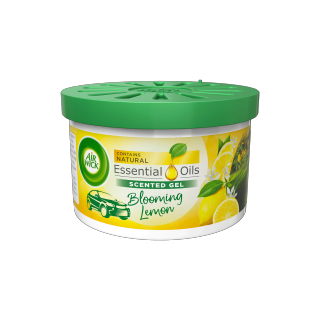 Gel Can